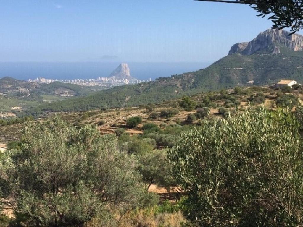 One Bed Apartment Overlooking Jalon Valley, Costa Blanca Alcalali Exterior photo